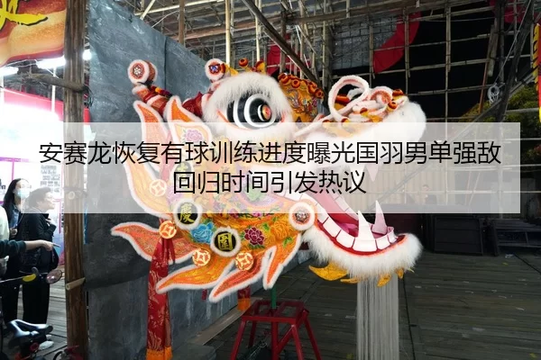 安赛龙恢复有球训练进度曝光国羽男单强敌回归时间引发热议