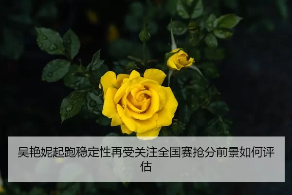 吴艳妮起跑稳定性再受关注全国赛抢分前景如何评估